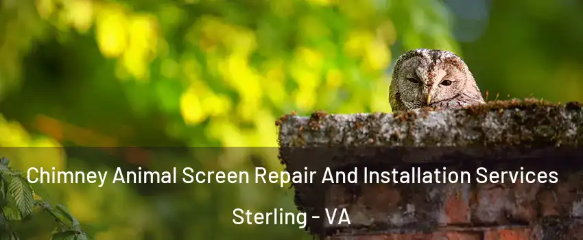  Chimney Animal Screen Repair And Installation Services Sterling - VA