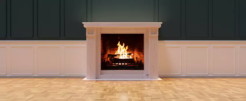 Napoleon Electric Fireplaces Inspection Service in Sterling, Virginia