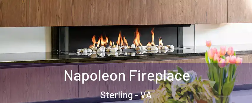  Napoleon Fireplace Sterling - VA